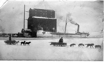 Dog Team at King Elevator