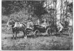 Arrival by Horse and Buggy