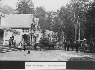 Horse and Buggies on Fair Ave