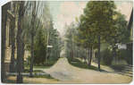 Driveway to Grimsby Park, Ont., postcard