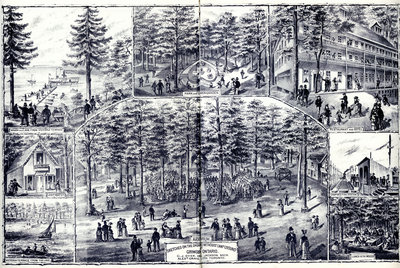 Illustrated Historical Atlas of the Counties of Lincoln & Welland Ont. Dedicated by Special Permission to His Excellency the Earl of Dufferin K.P.K.C.B. Governor General Compiled Drawn and Published from Personal Examination and Surveys by H.R. Page Toronto 1876