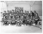 Portlaw Shipwreckers hockey team