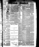 Markdale Standard (2), 24 Dec 1880