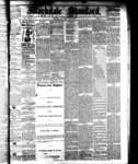 Markdale Standard (2), 7 Jan 1881