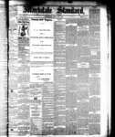 Markdale Standard (2), 4 Feb 1881