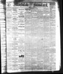 Markdale Standard (2), 28 Oct 1881