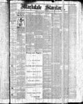 Markdale Standard (Markdale, Ont.1880), 3 Dec 1880