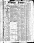 Markdale Standard (Markdale, Ont.1880), 10 Dec 1880