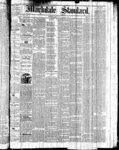 Markdale Standard (Markdale, Ont.1880), 25 Mar 1881