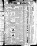 Markdale Standard (Markdale, Ont.1880), 22 Apr 1881