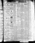 Markdale Standard (Markdale, Ont.1880), 20 May 1881