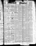 Markdale Standard (Markdale, Ont.1880), 10 Jun 1881