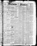 Markdale Standard (Markdale, Ont.1880), 29 Jul 1881