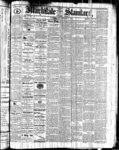 Markdale Standard (Markdale, Ont.1880), 5 Aug 1881
