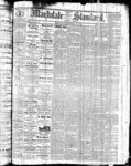 Markdale Standard (Markdale, Ont.1880), 28 Oct 1881