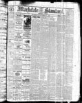 Markdale Standard (Markdale, Ont.1880), 18 Nov 1881