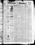 Markdale Standard (Markdale, Ont.1880), 13 Jan 1882