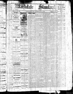 Markdale Standard (Markdale, Ont.1880), 17 Feb 1882