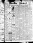 Markdale Standard (Markdale, Ont.1880), 3 Mar 1882