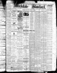 Markdale Standard (Markdale, Ont.1880), 28 Apr 1882