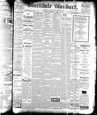 Markdale Standard (Markdale, Ont.1880), 3 Aug 1893