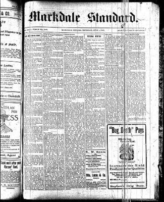 Markdale Standard (Markdale, Ont.1880), 4 Jun 1903