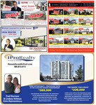 Real Estate, page 13