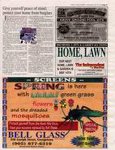 Home, Lawn & Garden, page 11