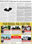 Real Estate, page 10