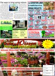 Home Lawn & Garden, page 3