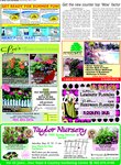 Home Lawn & Garden, page 6