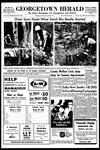 Chain Saws finish what Dutch Elm Beetle started20 May 1971, p. 13