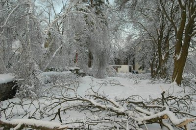 Scotsdale Farm, Ice Storm 2013