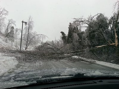 Cinderbarke Trail, Georgetown, Ice Storm 2013