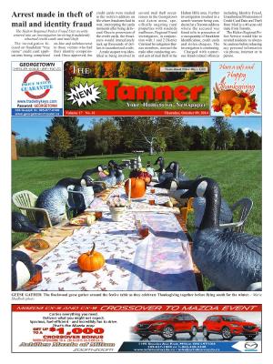 New Tanner (Acton, ON), 9 Oct 2014