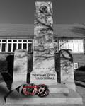 75th Anniversary of VE Day at the Acton Cenotaph