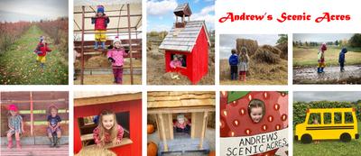 Andrew's Farm