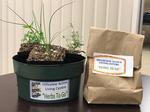 Hillsview Plant your own Herb Garden