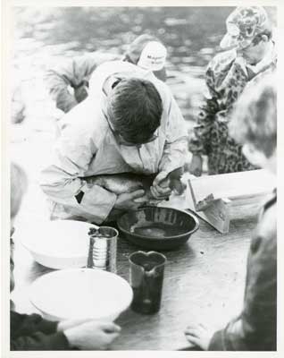 Man harvesting fish eggs from live fish, Thessalon Township, Circa 1995