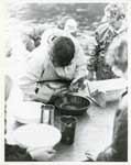 Man harvesting fish eggs from live fish, Thessalon Township, Circa 1995