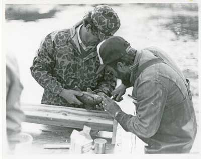 Two men and a fish, harvesting process, Thessalon Township, Circa 1995