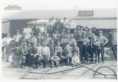 Bishop Lumber Co. Lumber Grading and Yard Crew, Nestorville, Circa 1920