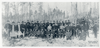 Workers at Dyment Lumber Co. Towell's Camp Bush Operations, Circa 1905