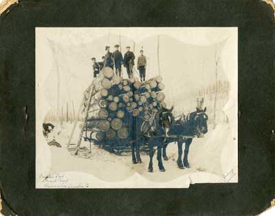 Rowan's Load, Farrel's Camp, Thessalon Lumber Co., circa 1900