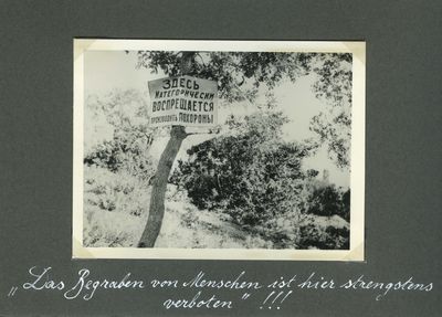 A posted sign in a  Kharkiv city park reads: “It is strictly forbidden to bury the dead here”