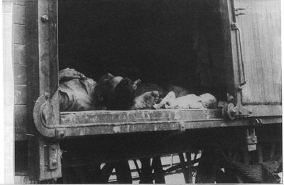 Non-Holodomor: Dead passengers, including an infant, lay on the floor of a railroad boxcar in Russia