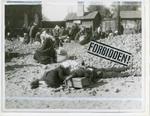 Holodomor Photo Directory