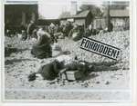 Holodomor, 1932-1933: A visual directory of forbidden photographs
