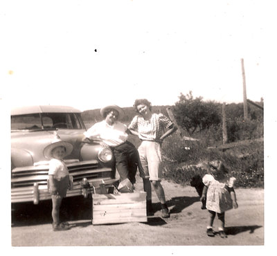 A Successful Day of Strawberry Picking - Circa 1950