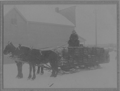 Willit Tait - Delivering Hay - Blind River 1926